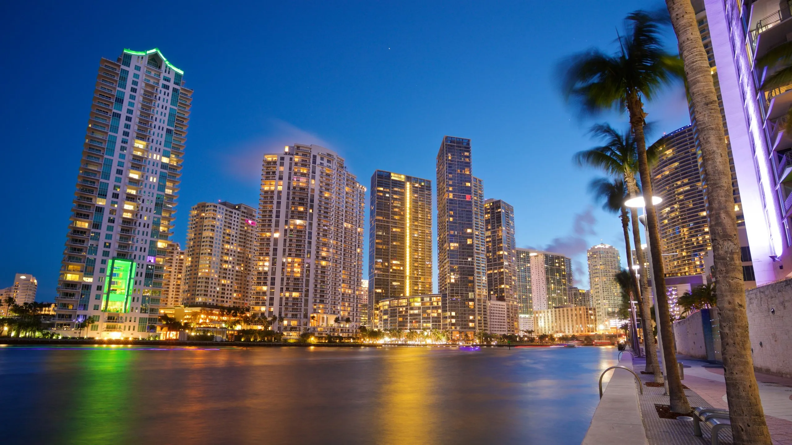 Damas De Compañia En Miami Florida