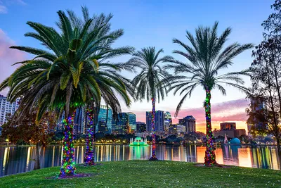 Фото Флорида США Орландо, Lake Eola Park, Lake Eola park Пальмы картинки