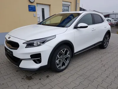 Kia XCeed Dynamic Plus Line Navi Klimaauto SHZ Privacy Bluetooth PDC Автомобильный кремер картинки