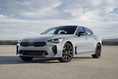 Наконец-то нашел место с хорошим освещением! [KIA Stinger GT]: р/форза картинки