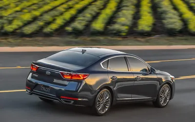 2017 Kia Cadenza фото - 2/10 - Автомобильный гид картинки