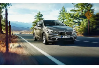 Купить коврик в багажник BMW 2 серии F45? Бесплатная доставка картинки