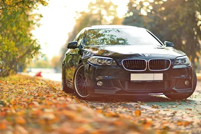 BMW 5 картинки