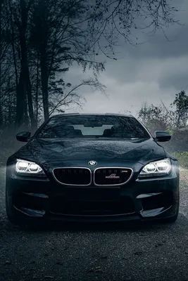 Bmw m6, черный, лес, туман, перед | Бмв м6, бмв, bmw обои картинки