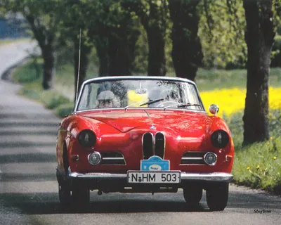 Файл:BMW 503 Coupé (7505002798).jpg — Викисклад картинки