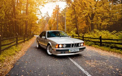 BMW M6 (E24) 1986–88 обои (2048x1536) картинки