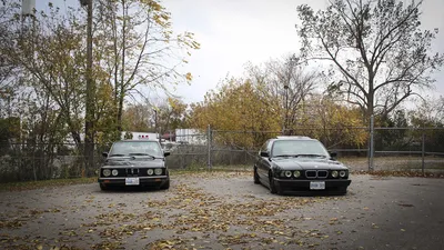 Фото BMW E28 E34 stance 2 Herbst automobil Bäume 1920x1080 картинки