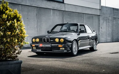 1987 BMW E30 M3 Обои | SuperCars.net картинки