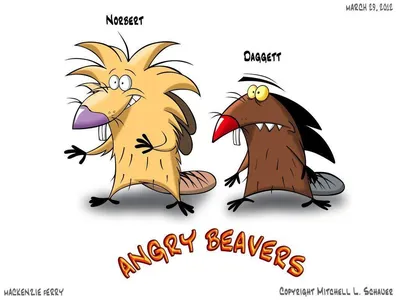 Скачать бесплатно обои Angry Beavers [1024x769] для рабочего стола, мобильного и планшета | Исследуйте 65+ обоев Злых Бобров | Angry Bird Wallpaper, обои Oregon State Beavers, HD обои Oregon State Beavers картинки