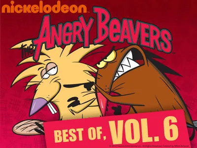 Angry Beavers - Олдскул Nickelodeon Обои (43642298) - Fanpop картинки