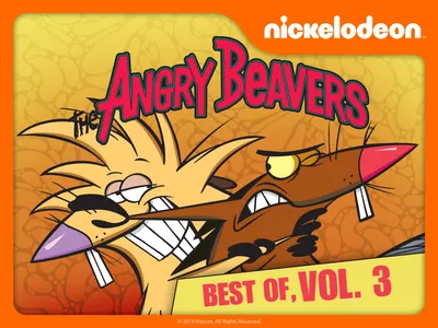 Angry Beavers - Олдскул Nickelodeon Обои (43642290) - Fanpop картинки