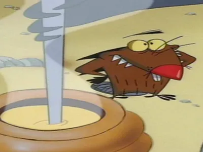 Складной бумажник The Angry Beavers Cartoon Show Brothers Fighting Bifold — Walmart.com картинки