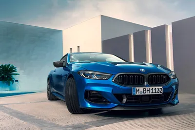 2023 BMW 8 Series Coupe Внешние размеры: Цвета Варианты \ u0026 Аксессуары - Фото | CarBuzz картинки