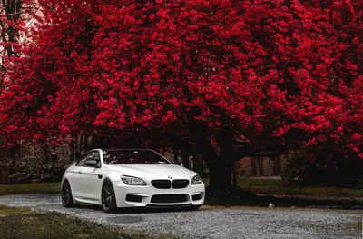 4K BMW M6 Обои | фоны картинки