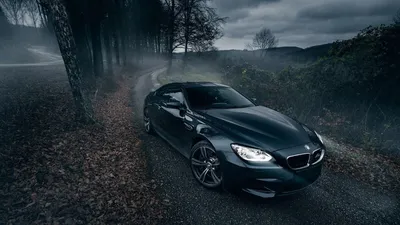 Full HD автомобиль природа деревья дорога bmw bmw m6 обои картинки