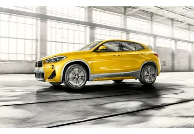 Купить роскошные коврики BMW X2? Бесплатная доставка картинки