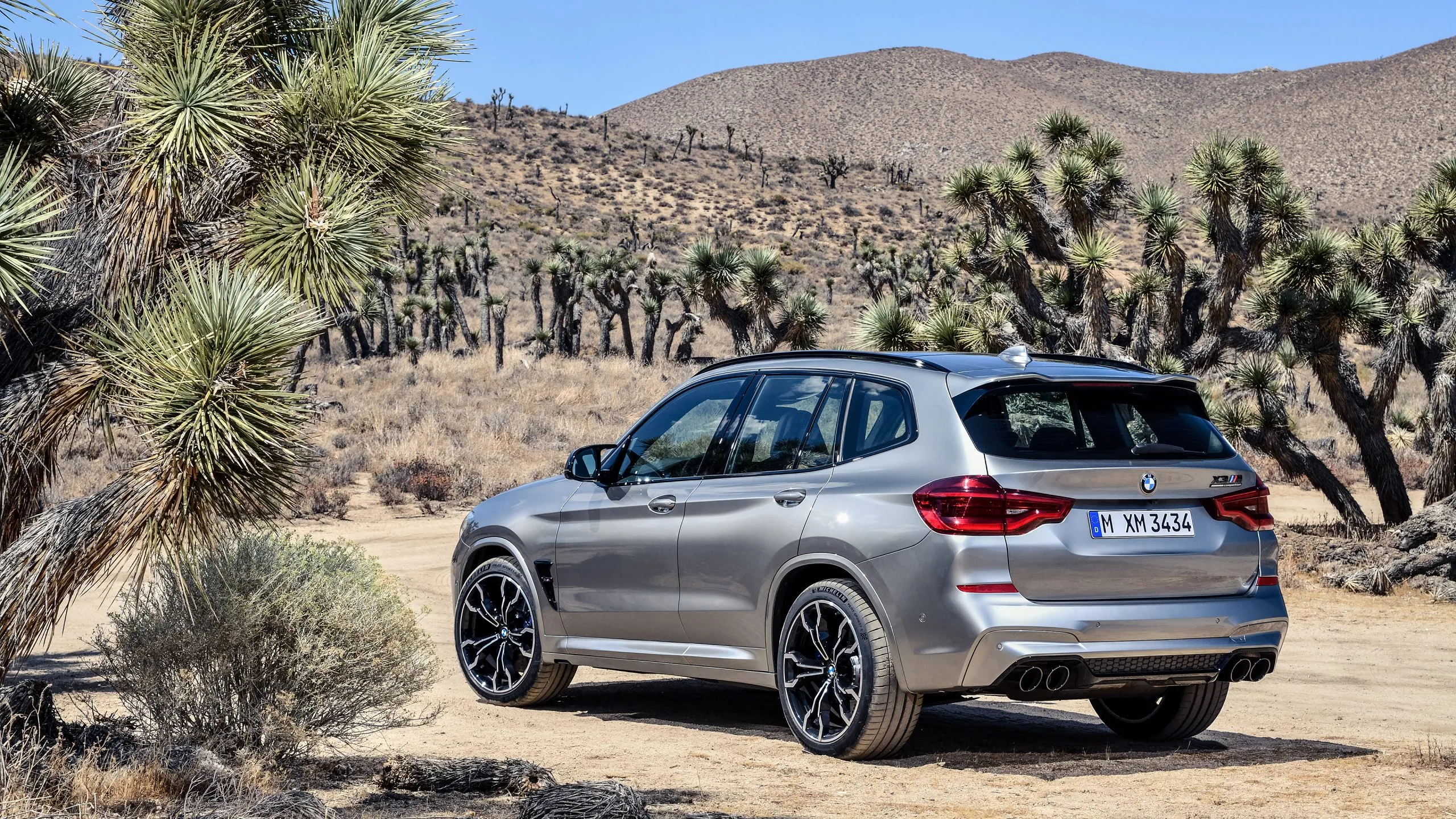 X 3 2019. БМВ x3m Competition. БМВ x3m 2019. BMW x3m 2020. BMW x3 m Competition.