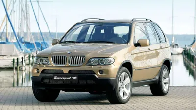 Supersprint Auspuff для BMW E53 X5 4.4i V8 (N62) '03 -> '06 картинки