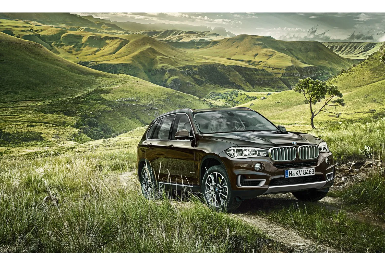 BMW X5 (F15) картинки