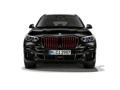 2019 BMW X5 (G05) xDrive 45e iPerformance #567553 - Лучшее качество бесплатных изображений автомобилей в высоком разрешении - mad4wheels картинки