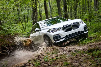 BMW X5 M, конкуренция, роскошь, м мощность, внедорожник, автомобиль, белый, x5 м, HD обои для рабочего стола картинки