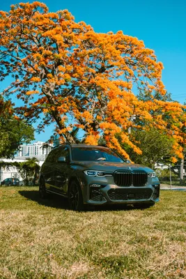 Фотографии BMW X5 | Скачать бесплатные изображения на Unsplash картинки