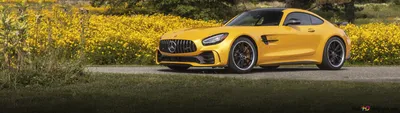 Mercedes-AMG GT R 6K Hintergrundbild herunterladen картинки