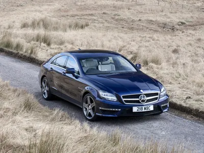 733811 2011 CLS63 C218 AMG, Mercedes-Benz, Синий, Металлик, Сухой, Трава - Rare Gallery HD Wallpapers картинки