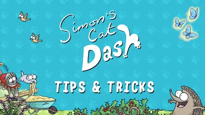 6 простых советов Simon's Cat Dash, которые вам нужно знать картинки