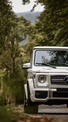 Скачать 1440x2560 mercedes-benz g-class, mercedes gelandewagen, мерседес, внедорожник, серый, вид спереди обои, картинки qhd samsung galaxy s6, s7, edge, note, lg g4 картинки