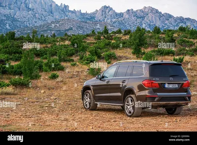 Mercedes-Benz GL-Class 2009 года выпуска картинки