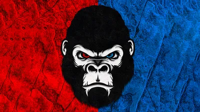 Gorilla Red Blue Minimal 5k, HD Artist, 4k обои, изображения, фоны, фото и картинки картинки