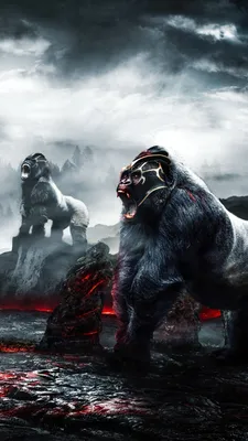 Angry Gorilla Wallpapers - Топ бесплатных фонов Angry Gorilla картинки