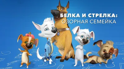 Белка и Стрелка: Озорная семейка (мультсериал, 2011) — смотреть онлайн все  сезоны и все серии подряд в хорошем качестве Full HD (1080) или HD (720) картинки