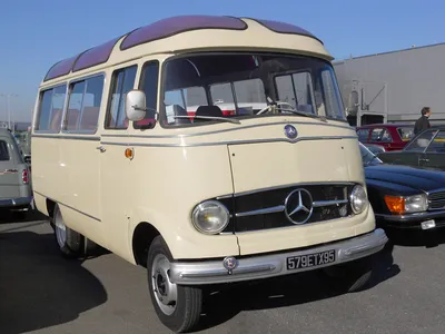 Mercedes Benz L 319 D - коллекция фотографий Кристофа Резбаха картинки