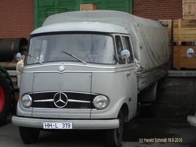 Mercedes-Benz Type 319 фото (2) - Fahrzeugbilder.de картинки