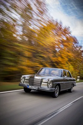 1965 Mercedes-Benz 250 SE ( W108 ) #610555 - Лучшее качество бесплатных изображений автомобилей с высоким разрешением - mad4wheels картинки