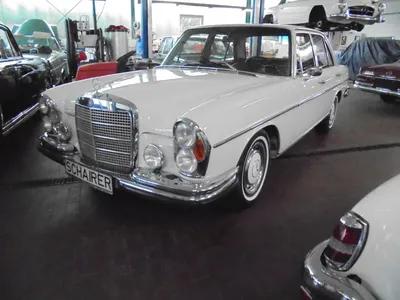 1965 Mercedes-Benz 250 SE ( W108 ) #610552 - Лучшее качество бесплатных изображений автомобилей в высоком разрешении - mad4wheels картинки