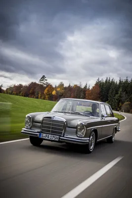 1965 Mercedes-Benz 250 SE ( W108 ) #610543 - Лучшее качество бесплатных изображений автомобилей в высоком разрешении - mad4wheels картинки