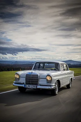 1961 Mercedes-Benz 300 SE ( W112 ) Tailfin #610492 - Лучшее качество бесплатных изображений автомобилей в высоком разрешении - mad4wheels картинки