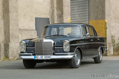 Королевский плавник: Mercedes 300SE: когда-то модель W112 венчала модельный ряд Mercedes - Фотогалерея - Поклонники Mercedes - Журнал для фанатов Mercedes-Benz картинки