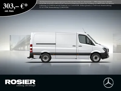 Mercedes-Benz Sprinter II 214 CDI L2H1 Камера Клима Хольцфус картинки