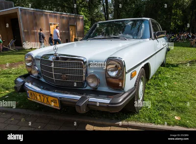 Mercedes-Benz 220 D (W115) 1967–73 фото (1024x768) картинки