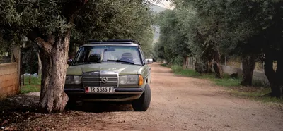 Grüner Mercedes Benz W123, Der Nahe Baum Geparkt Wird · Kostenloses Stock-Foto картинки