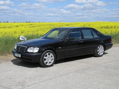 Вальд Mercedes-Benz S-класса W140 (2001 г.) картинки