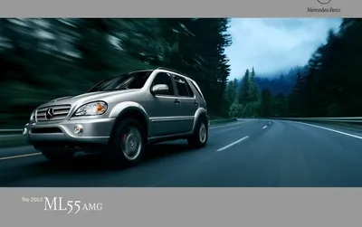 Mercedes-Benz ML320 (1999) - фото 6 из 9 картинки