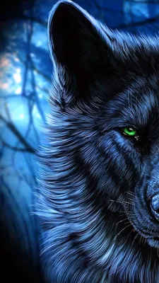 Черные волки с голубыми глазами Обои - Wolf-wallpapers.pro | Волк с голубыми глазами, Глаза обои, Волчий фон картинки