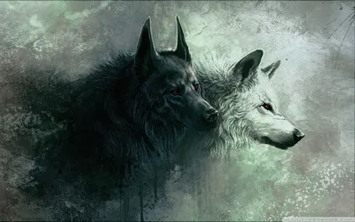 Красивый Волк Телефон Обои #Красивый #Волк #Телефон #Обои | Iphone wallpaper wolf, Волчий фон, Волк обои картинки