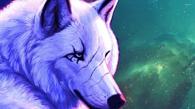 Arctic Wolf - Животные Обои (38680039) - Fanpop картинки