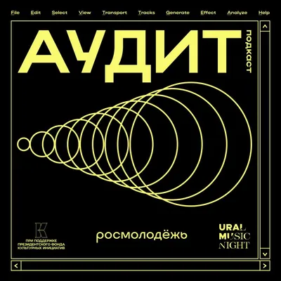 АУДИТ | Ural Music Night картинки